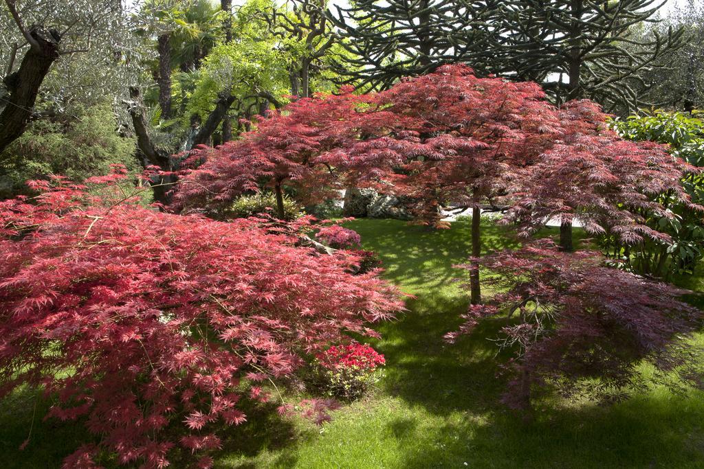 Hotel Abano Grand 5*